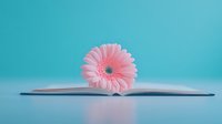 Pink gerbera daisy placed on open book pages against turquoise background, creating minimalist composition for wellness and education concepts.