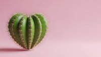 Heart-shaped cactus succulent plant on pink background for Valentine's Day love concept and romantic home decor.