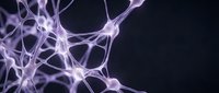 Neural network connections with glowing purple synapses on dark background for medical education and neuroscience research presentations.