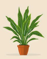 Minimalist green houseplant with long leaves in terracotta pot on beige background. Isolated botanical illustration for home decor and interior design projects.