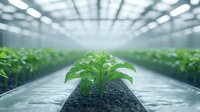 Young green plant growing in modern hydroponic greenhouse with LED lighting system. Sustainable agriculture and innovative farming technology for food production.