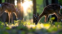 Young fawns grazing in morning sunlight among wildflowers, backlit silhouettes create magical forest atmosphere with bokeh effect and golden glow through trees.
