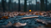 Wooden pencil lying on textured stone surface surrounded by autumn leaves at dusk, with blurred forest and glowing sun creating moody atmospheric scene.
