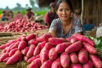 Asian female farmer smiling while displaying fresh harvested sweet potatoes at local market. Traditional agriculture and farming lifestyle showing seasonal produce.