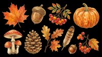 Autumn nature set with maple leaf, acorn, pumpkin, mushrooms, pine cone, berries, and feather, isolated on transparent background, for stickers, clipart, sublimation.