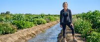 Senior Caucasian female farmer standing in irrigation channel between crop rows on sunny day. Agricultural water management and sustainable farming practices.
