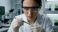 Female scientist in safety glasses examining plant sample with tweezers in modern laboratory for botanical research and genetic analysis studies.