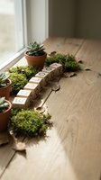 Wooden letter blocks spelling ECOLOGY surrounded by small potted succulents and moss on rustic wood surface near window for environmental awareness campaigns.