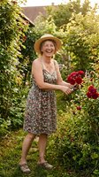 Middle-aged woman with light skin tone wearing straw hat and floral dress picking red roses in lush garden during golden hour sunlight.