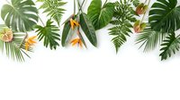 Tropical leaves border with monstera, palm fronds and bird of paradise flowers on white background for summer design projects and botanical themes.