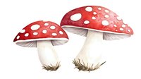 Red and white spotted mushrooms amanita muscaria with detailed watercolor texture and delicate gills, growing from soil in natural woodland setting.
