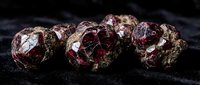 Raw red garnet gemstones with natural crystalline formations on dark textured surface for jewelry making and mineral collection displays.
