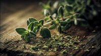 Fresh thyme sprigs and dried herbs on rustic wooden surface, creating contrast between green leaves and earthy spices for culinary use.