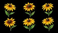 Bright yellow sunflowers with dark centers and green stems isolated on transparent background. Ready for t-shirt designs, clipart, stickers, sublimation, print-on-demand products and digital crafts.