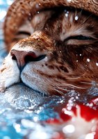 Close-up macro shot of ginger cat nose and whiskers with snow flakes and winter bokeh lights in blue and red tones creating magical seasonal atmosphere.