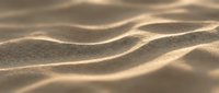 Golden sand dunes with soft rippling waves creating natural texture patterns in warm desert landscape with gentle shadows and highlights.