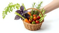 Fresh organic vegetables and herbs in wicker basket held by hand on white background for healthy cooking and farm market concepts.
