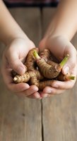 Fresh ginger root held in cupped hands over wooden surface, showcasing organic produce for cooking, nutrition, and wellness applications.