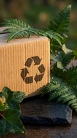 Eco-friendly cardboard package with recycling symbol surrounded by green fern leaves on wooden surface promoting sustainable packaging solutions.