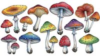 Colorful fantasy mushrooms collection with vibrant caps and white stems isolated on transparent background for creative design projects.