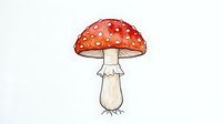Isolated red mushroom with white spots and cream stem on transparent background, ready for design projects, clipart, and merchandise applications.