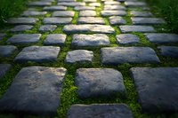Stone garden path with moss growing between cobblestones, sunlight creating dramatic shadows on textured pavers, natural landscaping detail.
