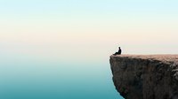 Minimalist landscape with lone seagull perched on edge of dramatic coastal cliff against serene pastel sky background, creating peaceful contemplative mood.
