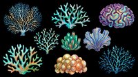 Colorful coral and sea fan illustrations isolated on transparent background, ready for clipart, t-shirt design, sublimation, print-on-demand products, stickers, and digital crafts.