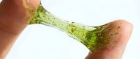 Two fingers holding a transparent green gel or liquid substance against a white background, demonstrating texture and viscosity for skincare, cosmetics, or scientific product use.