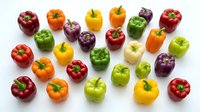 Colorful bell peppers in red, yellow, green, orange and purple varieties arranged on white background. Fresh organic vegetables isolated for cooking.