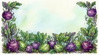 Fresh purple and green kohlrabi vegetables arranged in decorative border frame on white background, isolated design element for culinary, gardening, and food packaging projects.