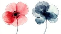 Delicate watercolor flowers in coral pink and navy blue with translucent petals and dark centers on white background, artistic botanical illustration for wall decor.