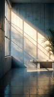 Minimalist concrete interior with dramatic window light casting geometric shadows on wall, wooden bench and palm plant creating serene modern atmosphere.