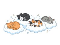 Cute cats sleeping on fluffy clouds with moons and stars, isolated clipart design for children's nursery decor, bedtime illustrations, and merchandise printing.