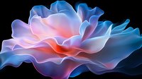 Ethereal abstract flower shape in glowing blue and coral pink tones against black background, featuring translucent flowing layers with soft luminous effect.