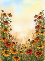 Watercolor wildflower meadow with orange and yellow blooms framing a warm golden sky, hand-drawn botanical art for cards and prints.