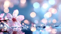 Cherry blossom flower with water droplets on dreamy bokeh background. Spring nature scene with pink petals and soft light effects for wellness concepts.