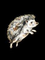 Watercolor hedgehog with golden Asian calligraphy, isolated on transparent background. Great for stickers, t-shirt design, print on demand, clipart, and sublimation.