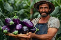 Hispanic farmer with beard holding fresh harvested purple eggplants in wicker basket, wearing denim overalls and hat, standing in organic vegetable garden.
