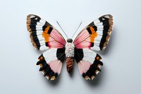 Colorful butterfly with pink, white, black and orange wings isolated on light gray background, casting soft shadow. Decorative nature element for design projects.
