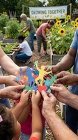 Community garden volunteers of diverse ages and ethnicities holding colorful paper puzzle pieces together in unity, with sunflowers and raised garden beds in background, symbolizing teamwork and collective growth for educational and nonprofit campaigns.