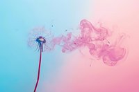 Delicate dandelion seeds floating away in pink smoke against turquoise background, artistic nature transformation showing freedom and change concept.