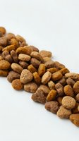 Crunchy dry pet food kibble scattered on white background, nutritious dog or cat meal pellets in brown tones for animal nutrition and feeding concepts.