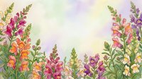 Watercolor snapdragon flowers border in pink, orange, yellow and purple on soft pastel background, copy space for text or greeting card design.