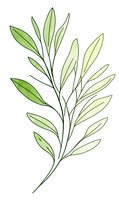 Minimalist green leaf branch with gradient coloring on white background, botanical line art illustration for nature-inspired designs and decorative projects.