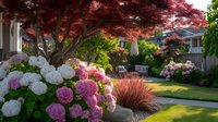 Vibrant garden landscape with Japanese maple tree, pink and white hydrangea flowers, and ornamental grasses creating a serene backyard retreat.