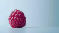 Fresh ripe raspberry on light blue background, minimalist food photography highlighting vibrant red fruit texture and natural appearance.