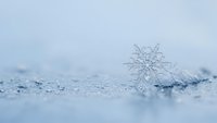 Delicate snowflake crystal resting on snowy surface with soft blue winter light creating magical frozen atmosphere for seasonal holiday designs.