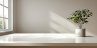 Minimalist interior with potted plant on white countertop, natural light streaming through window creating soft shadows on neutral wall.