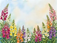 Watercolor snapdragon flowers in pink, yellow, orange, purple and white framing a soft pastel sky background with copy space.